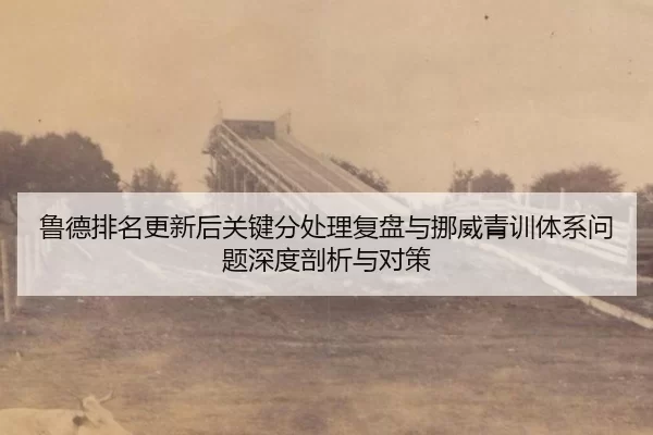 lu-de-pai-ming-geng-xin-hou-guan-jian-fen-chu-li-fu-pan-yu-nuo-wei-qing-xun-ti-xi-wen-ti-shen-du-pou-xi-yu-dui-ce-2-323.jpg